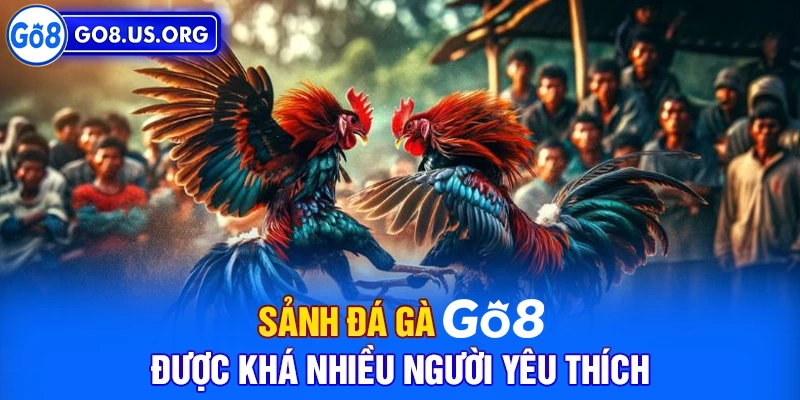 Chiến thuật đá gà Go8 dễ thắng từ cao thủ chia sẻ